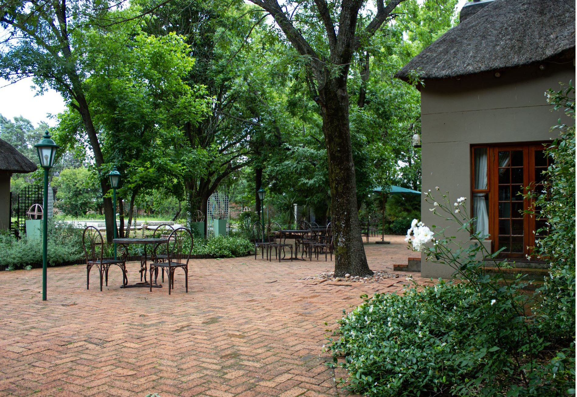 Kopano Nokeng — photo 2