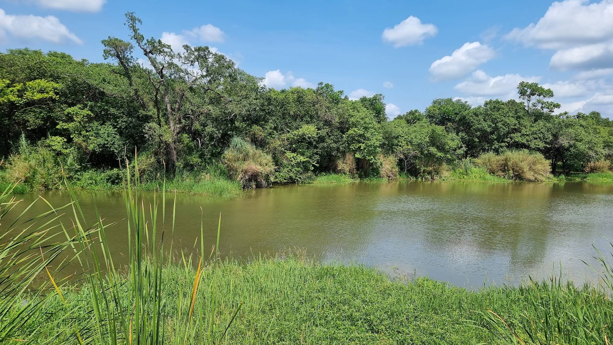 Kruger Park Lodge — photo 5