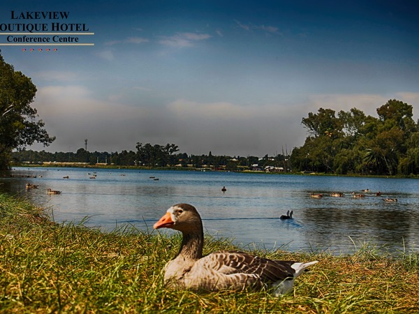 Lakes Hotel and Conference Centre in Benoni