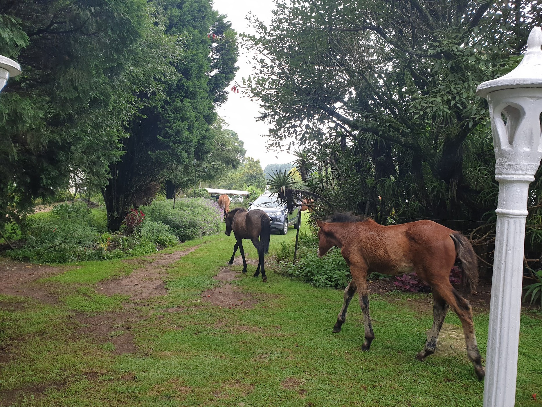 Lambourn's Guest House — photo 3