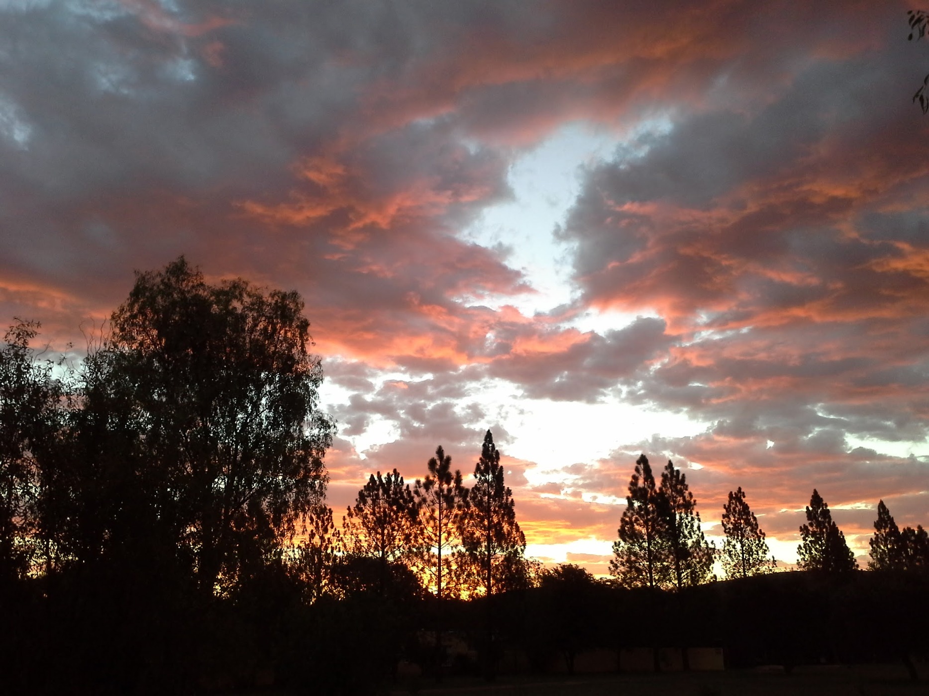 Lavender Hills Guest Farm — photo 3