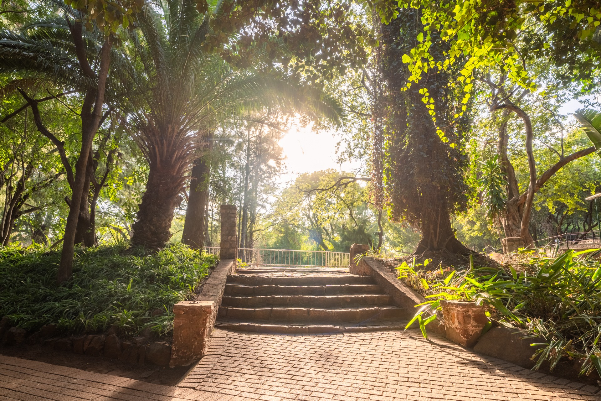 Magaliesberg Conference Centre — photo 5
