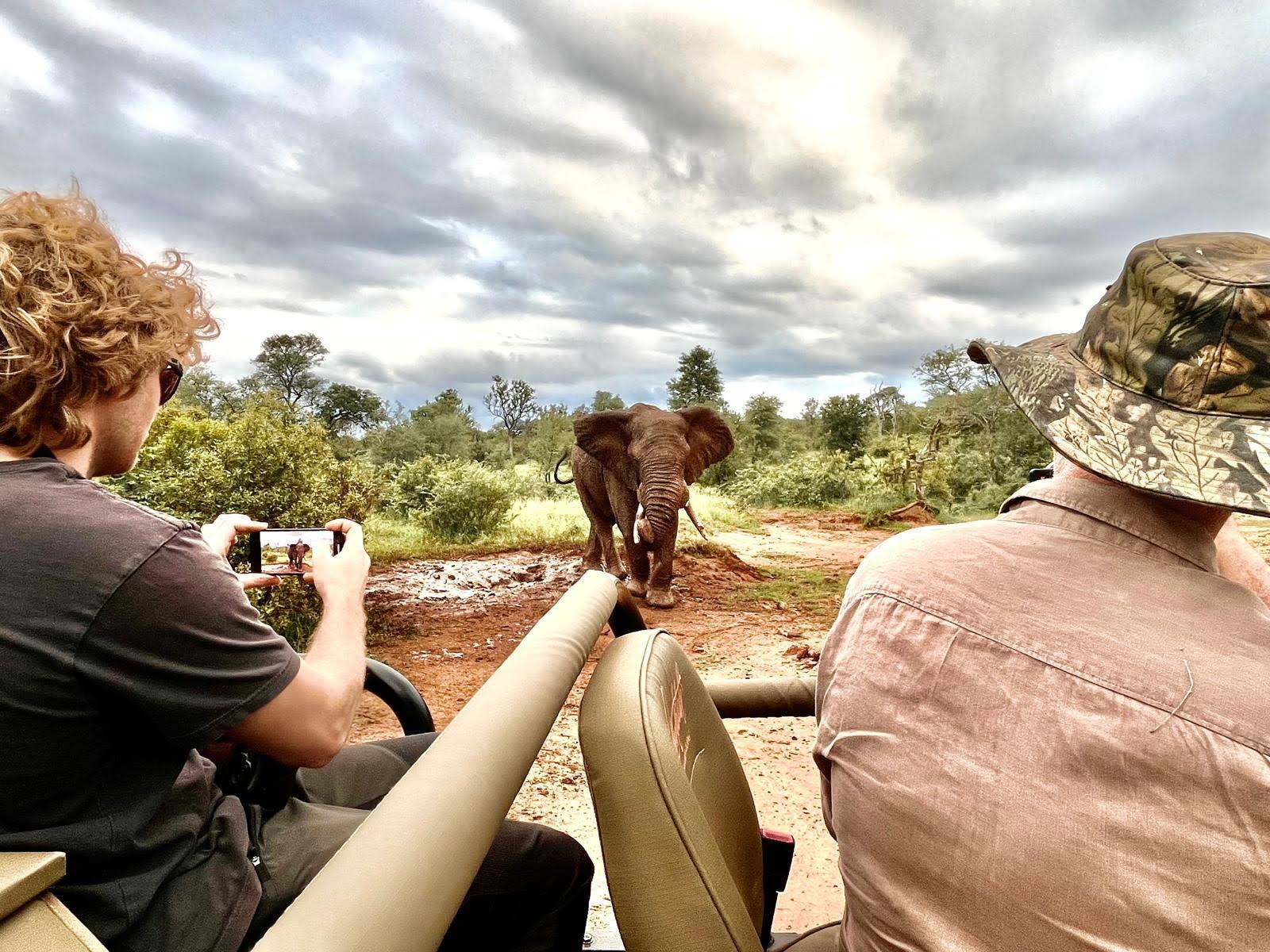 Makalali Private Game Lodge — photo 3