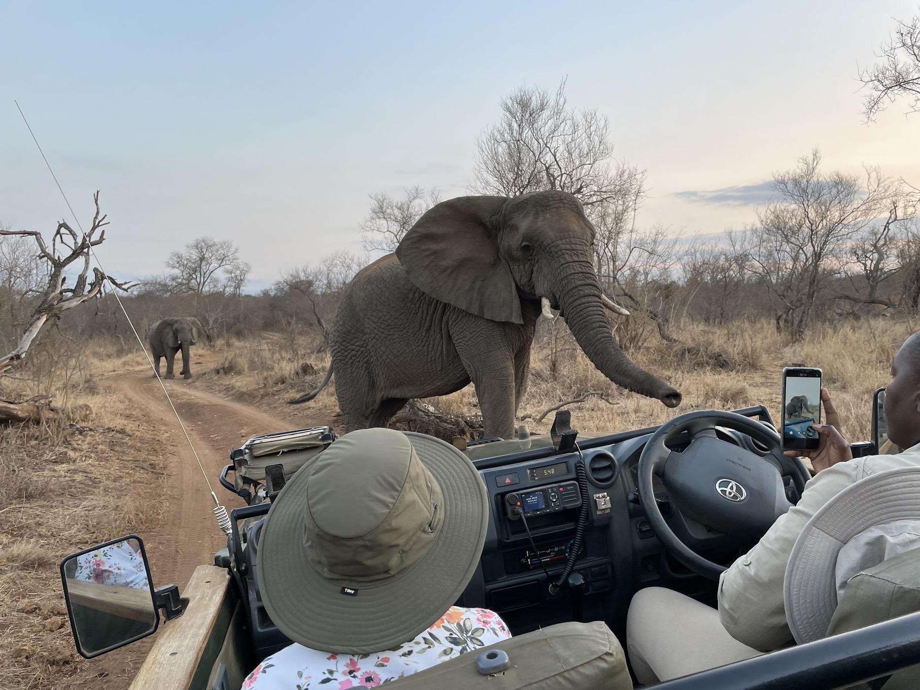 Makalali Private Game Lodge — photo 5