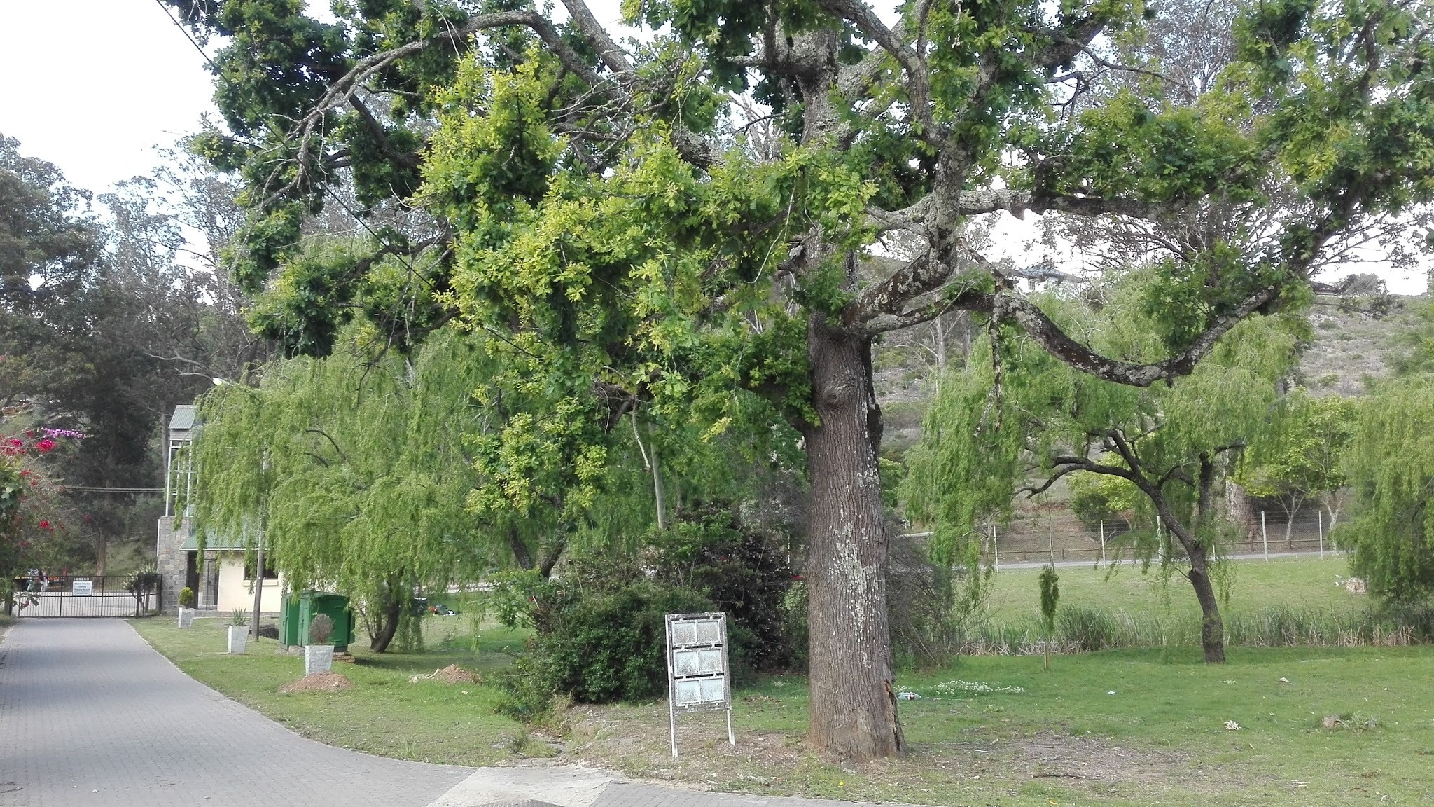 Makana Resort & Conference — photo 4