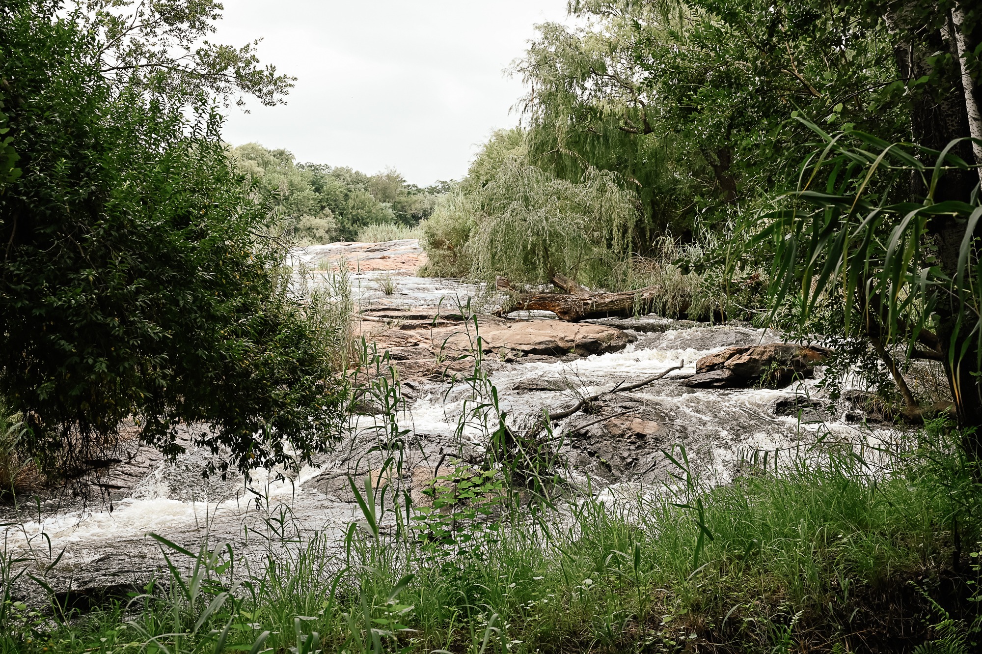 Meulstroom Lodge — photo 2