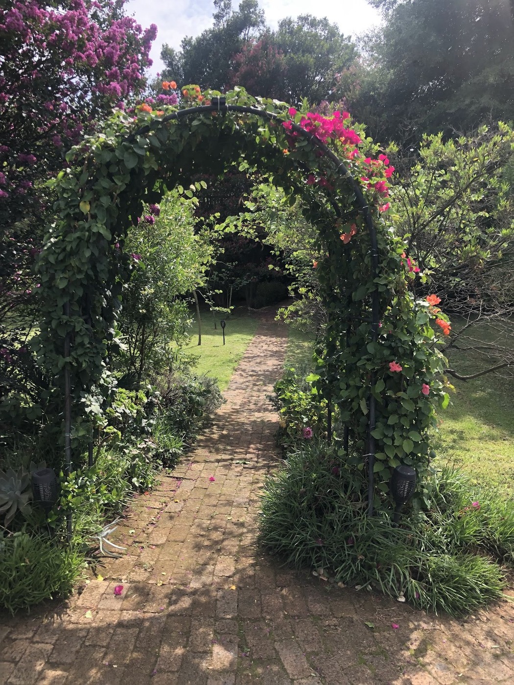 Midrand Wild Goose Guest House — photo 2