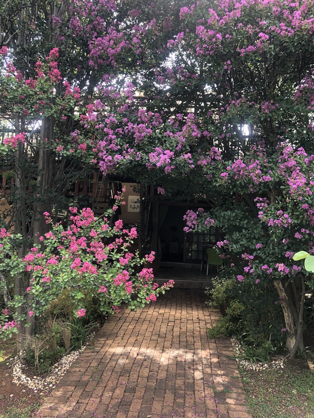 Midrand Wild Goose Guest House — photo 4