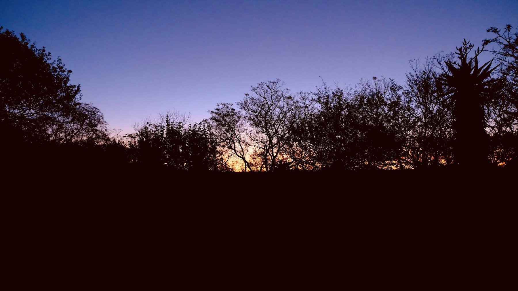 Mologa River Lodge — photo 2