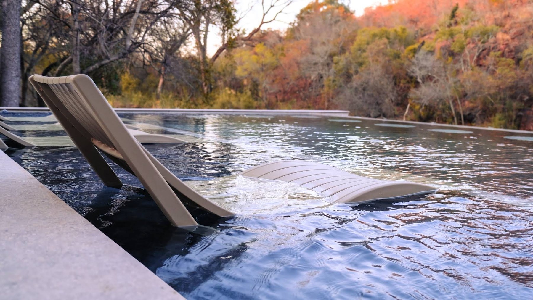 Mologa River Lodge — photo 4