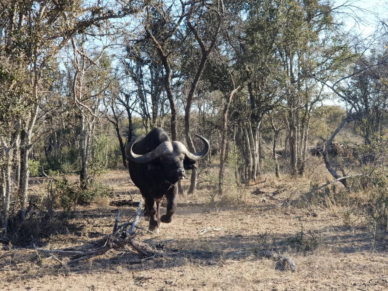 Monate Game Lodge — photo 2