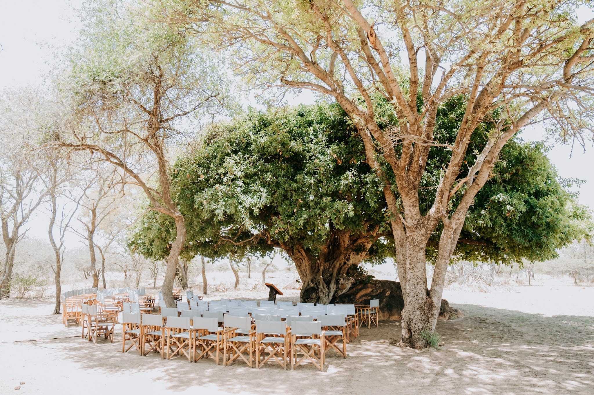 Monate Game Lodge — photo 4