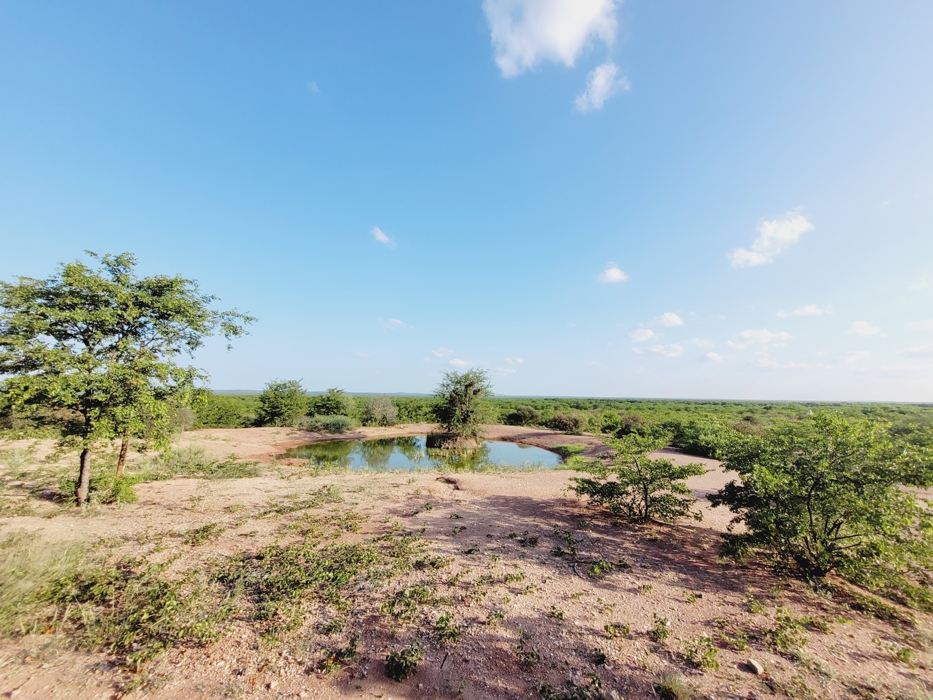 Mopane Bush Lodge — photo 2