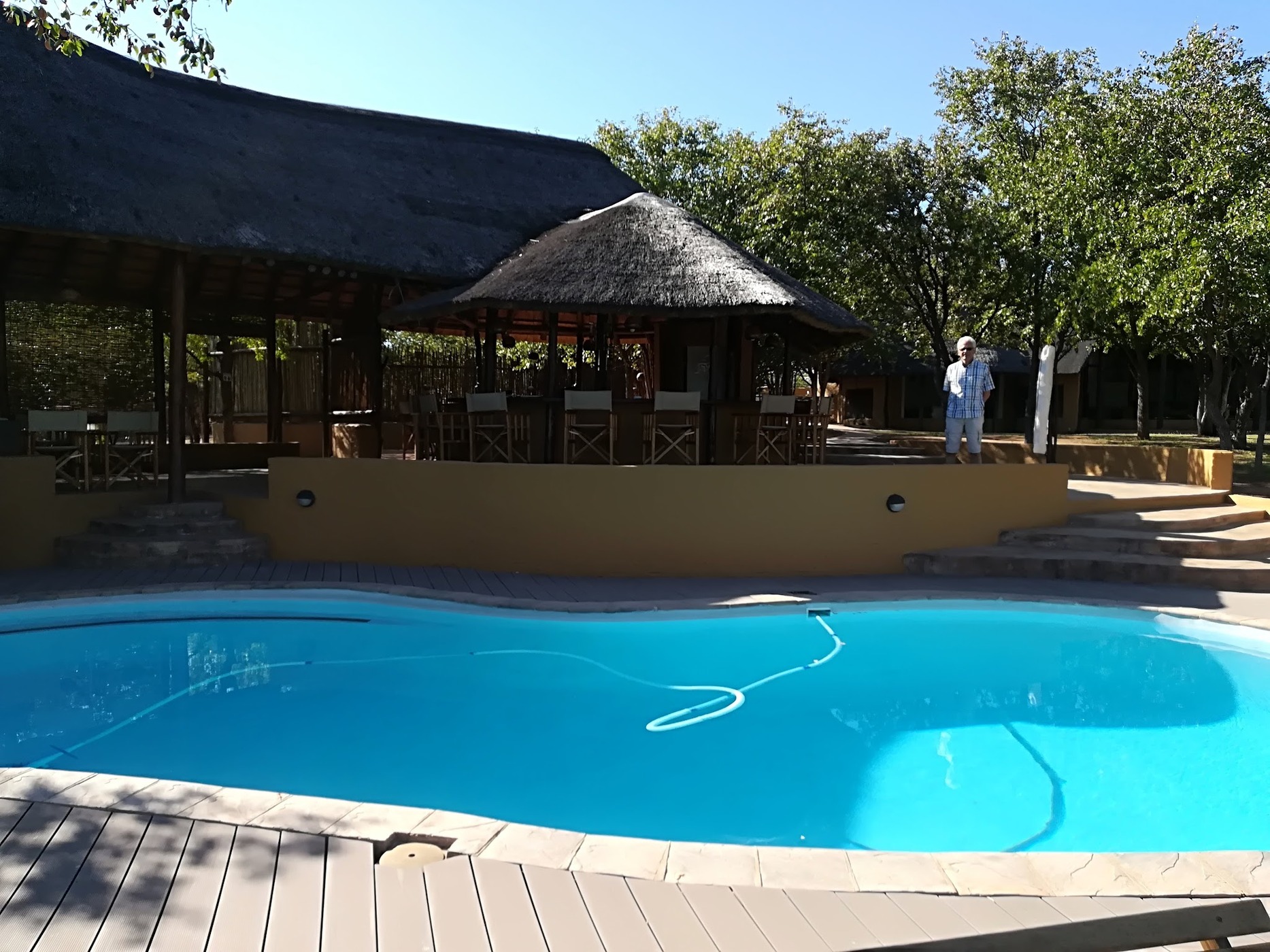 Mopane Bush Lodge — photo 4