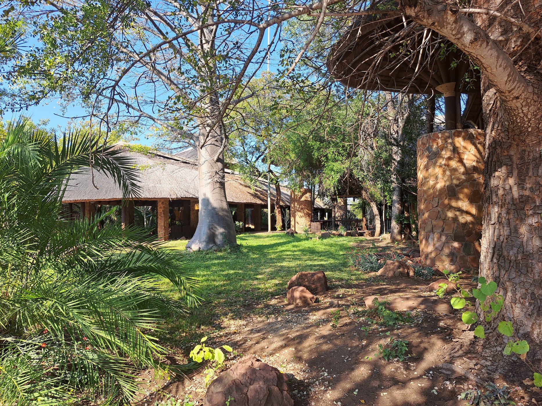 Mopani Conference Centre, Kruger National Park — photo 4
