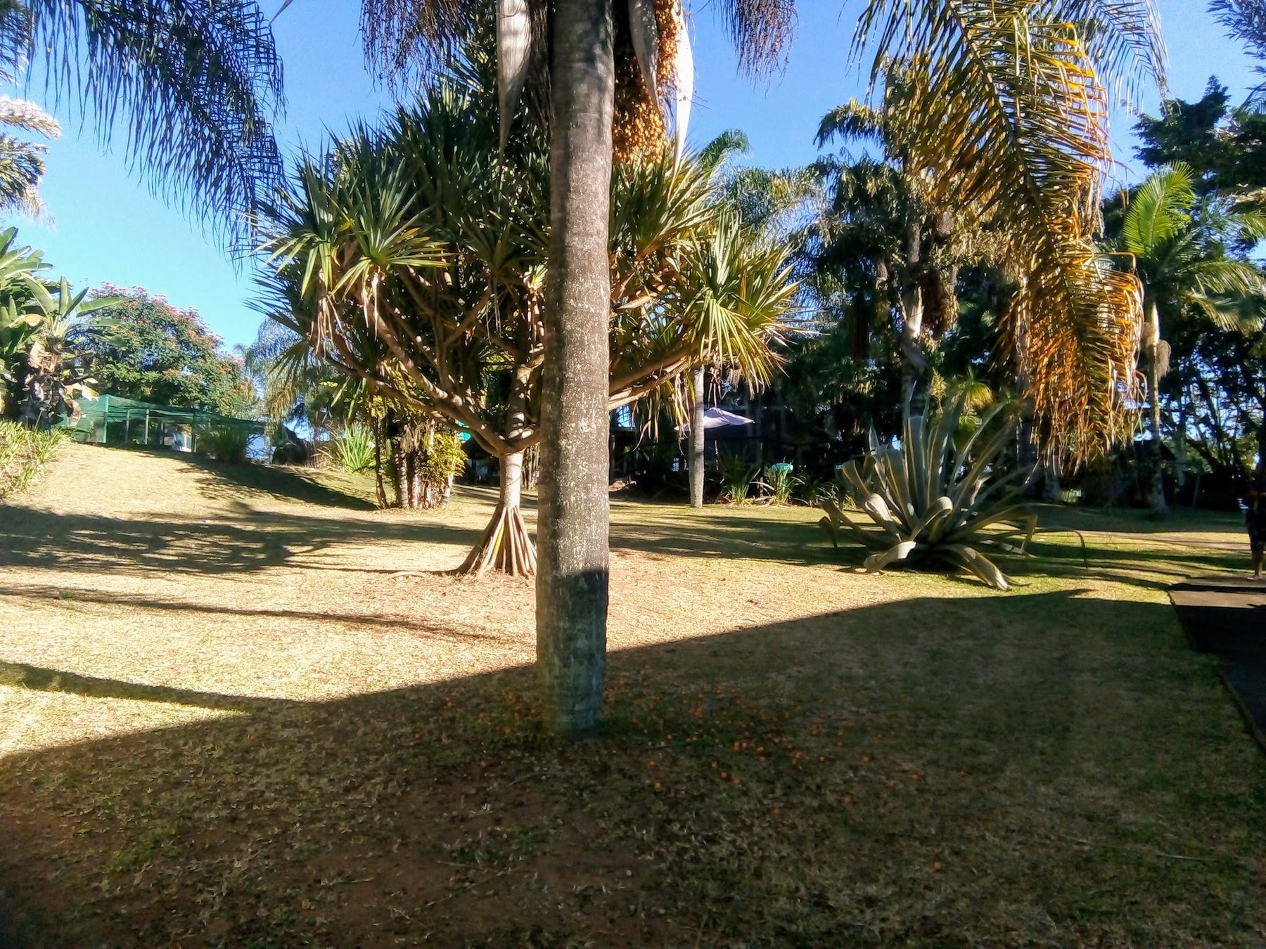 Nabana Lodge — photo 4