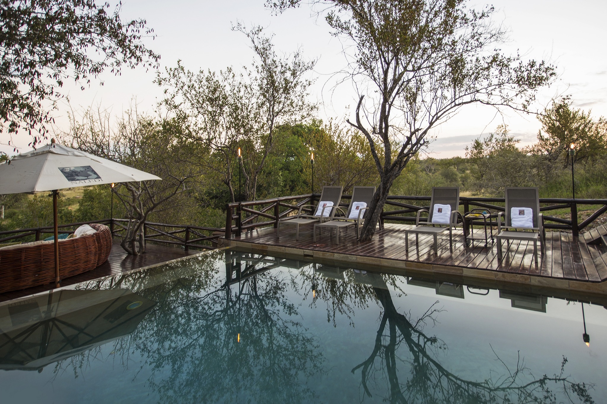 Naledi Game Lodge — photo 2
