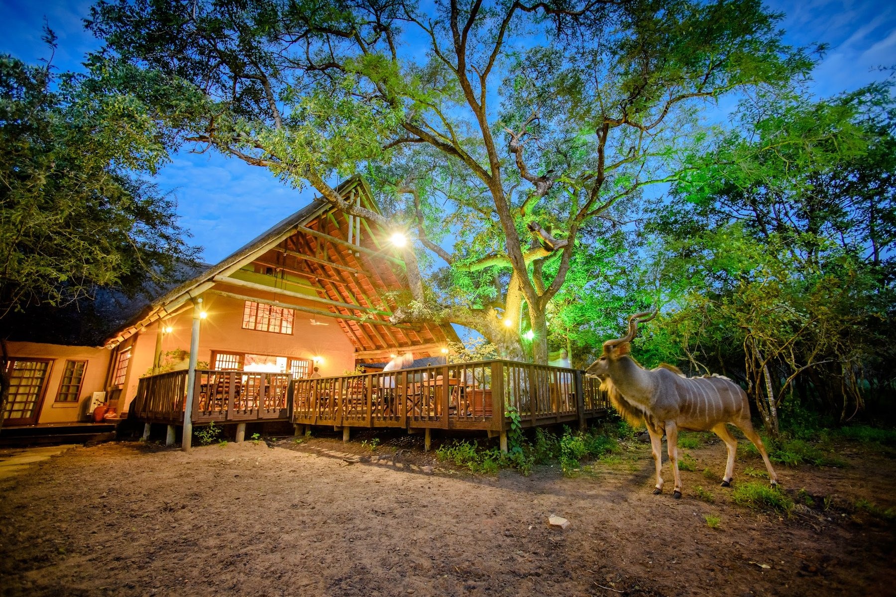 Needles Lodge — photo 3