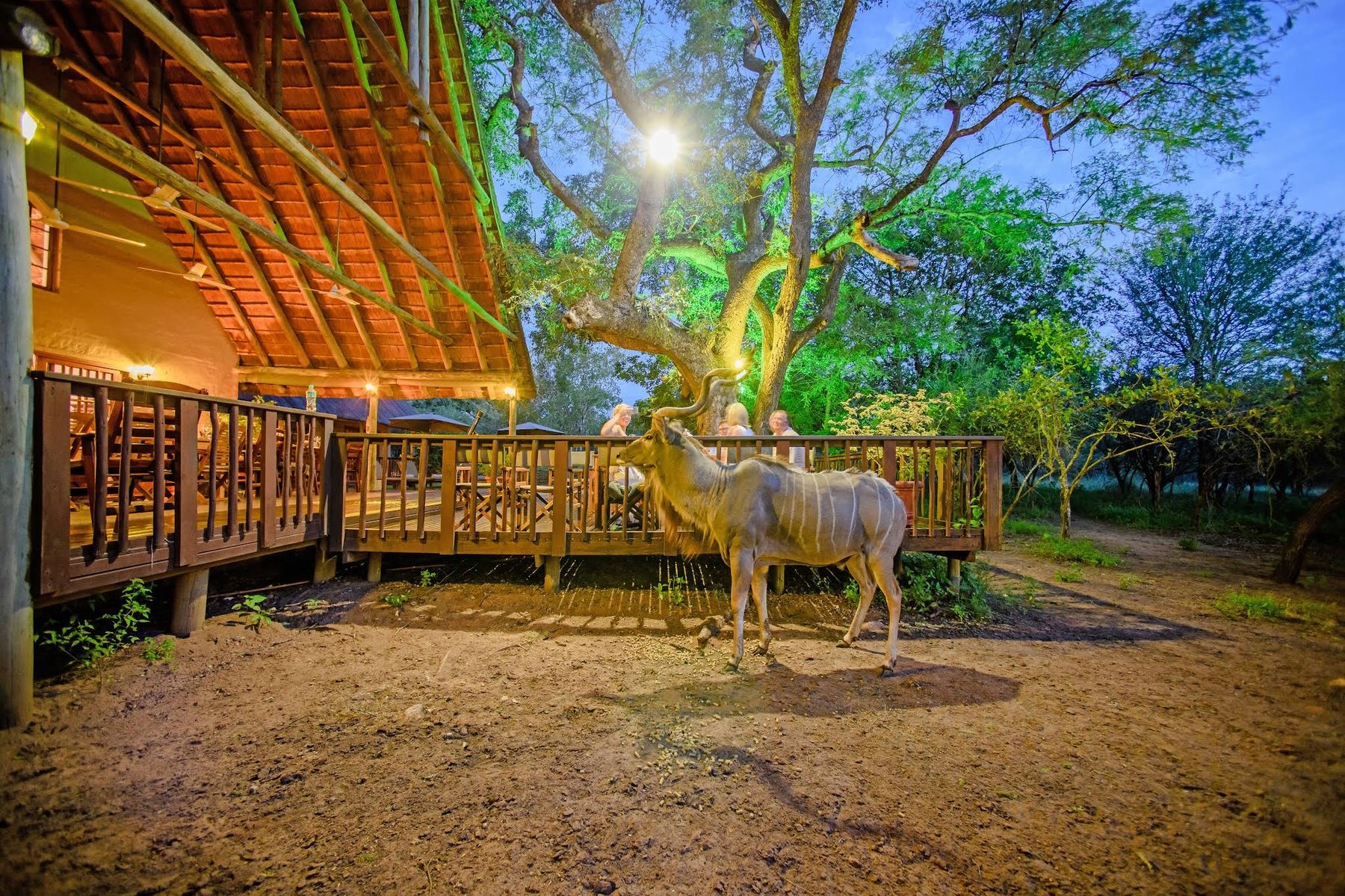 Needles Lodge — photo 5