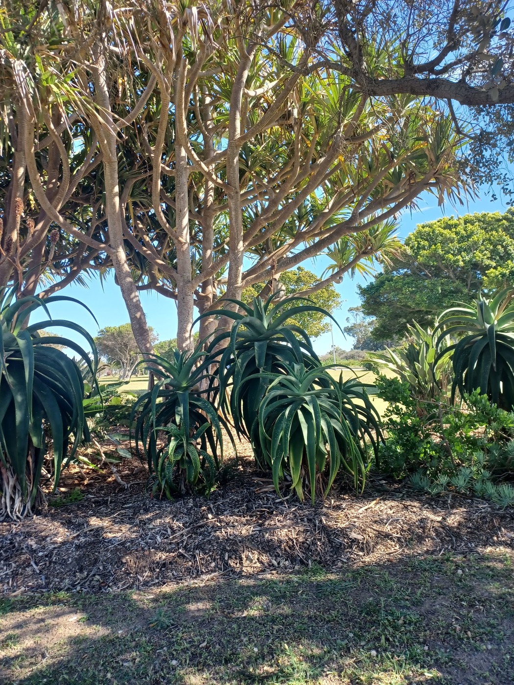 NMMU (Nelson Mandela University) Conference Centre — photo 5