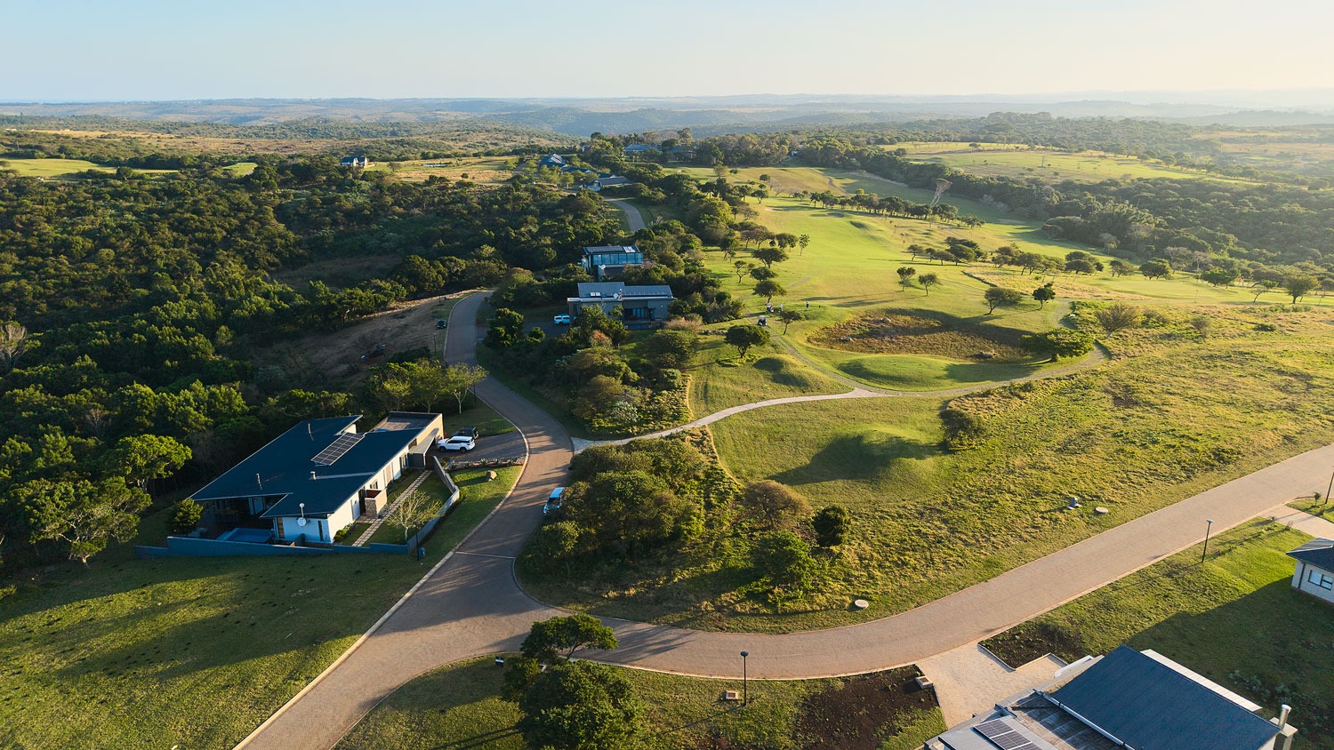 Olivewood Estate — photo 5