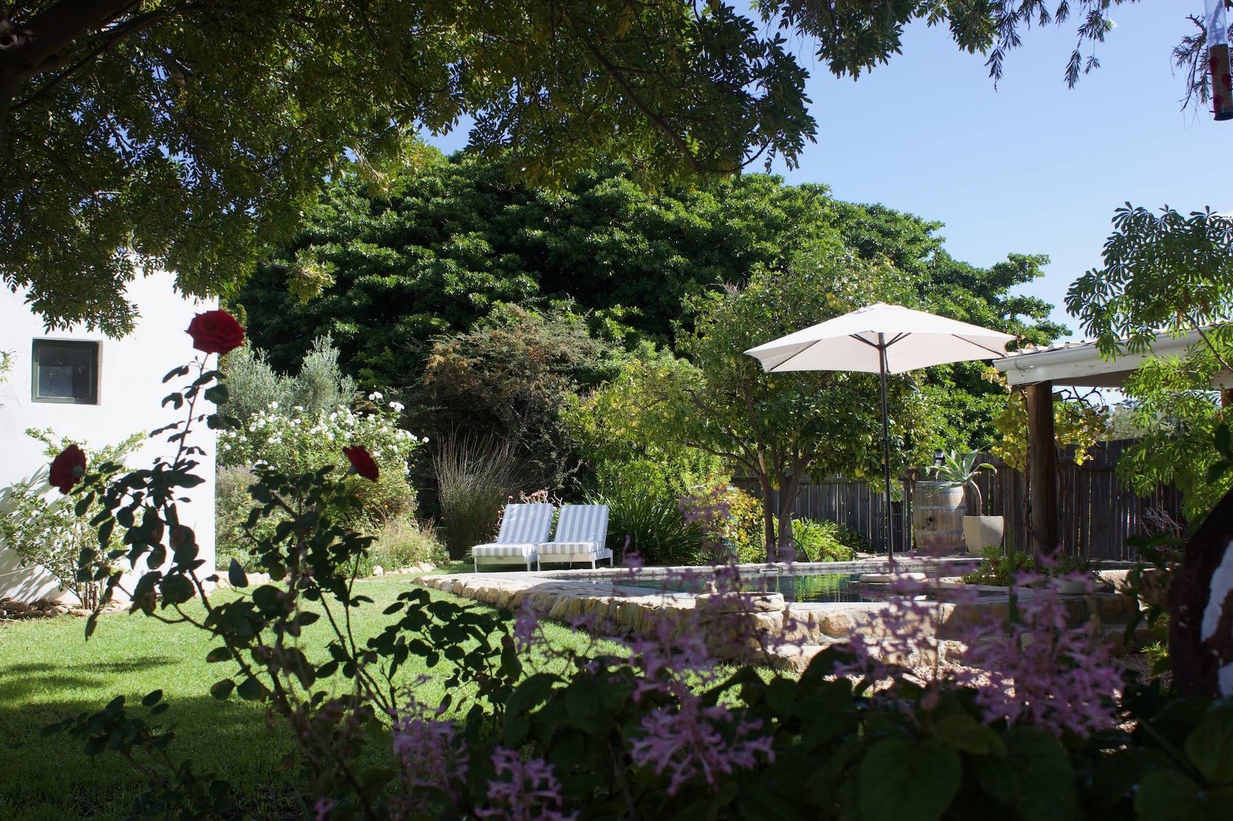 Onse Rus Guest House — photo 2