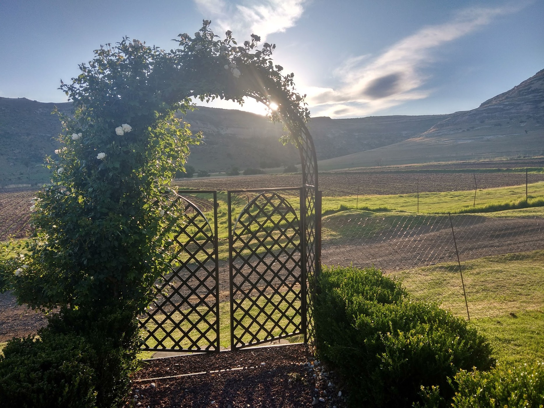 Oranje Guest Farm — photo 2