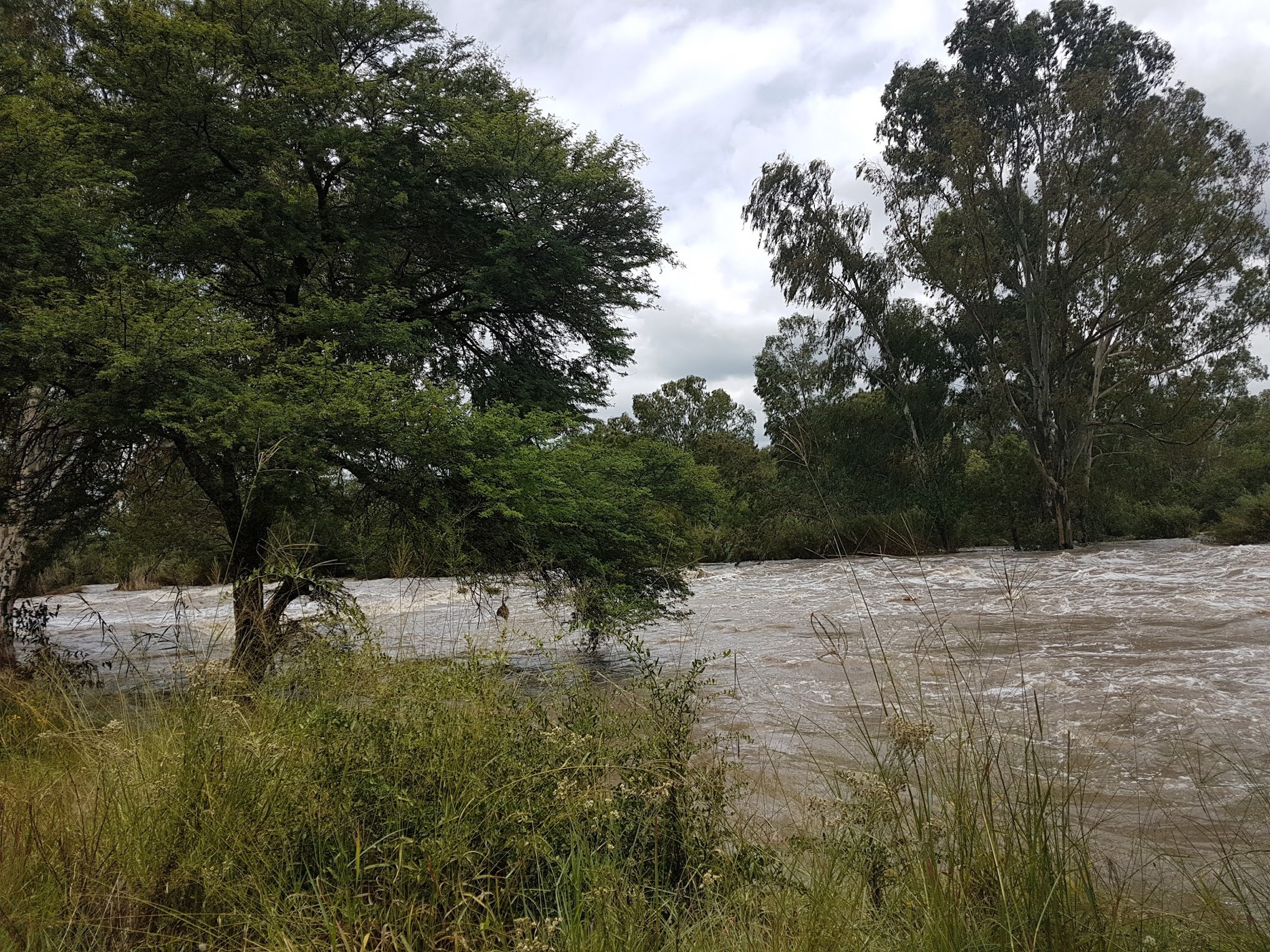 Parys Golf & Conference Estate — photo 2