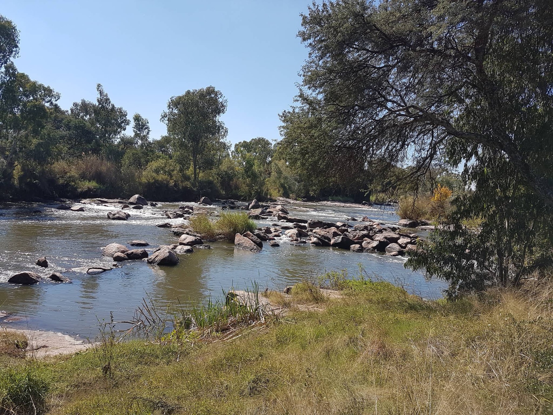 Parys Golf & Conference Estate — photo 4