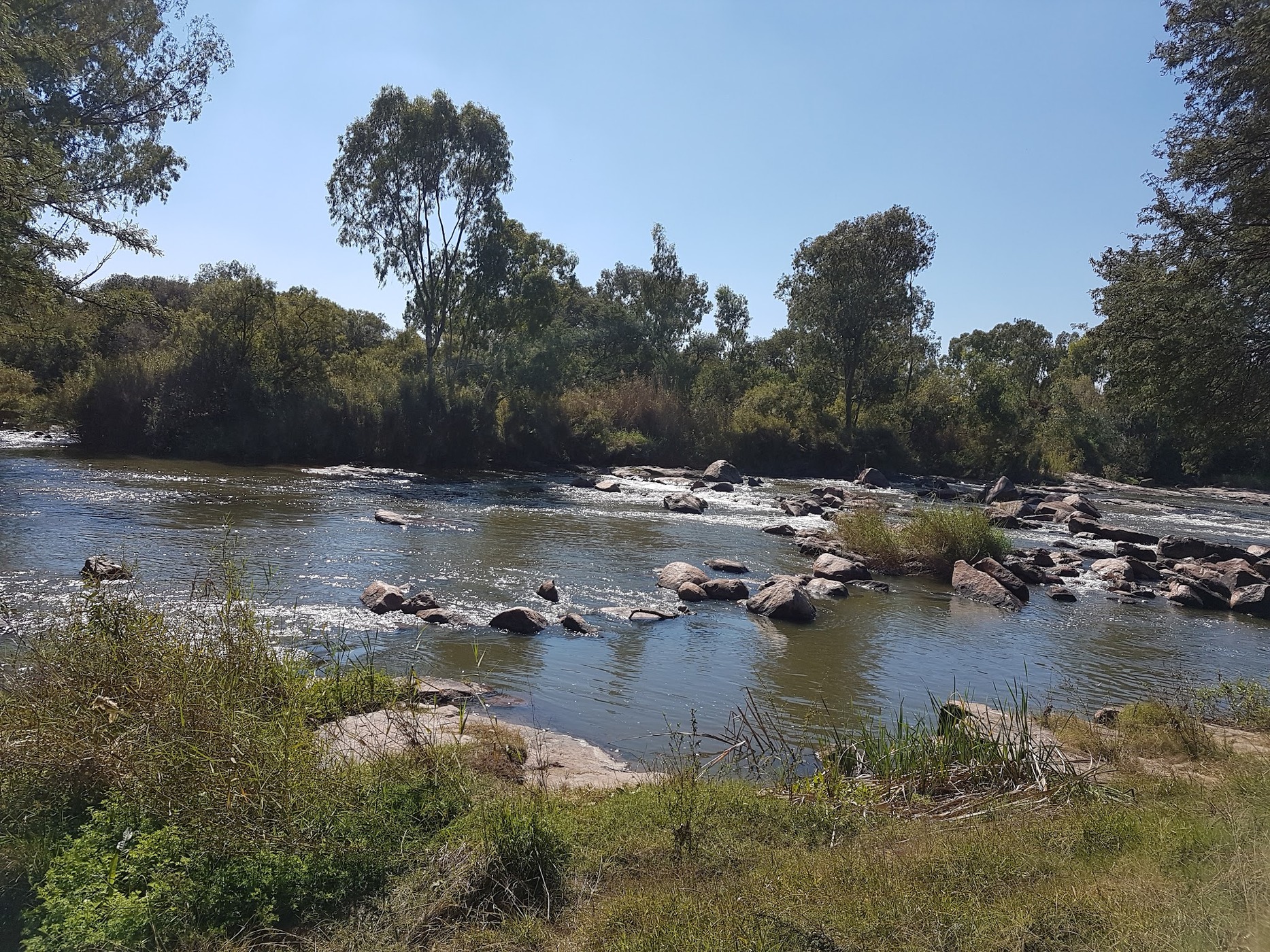 Parys Golf & Conference Estate — photo 5