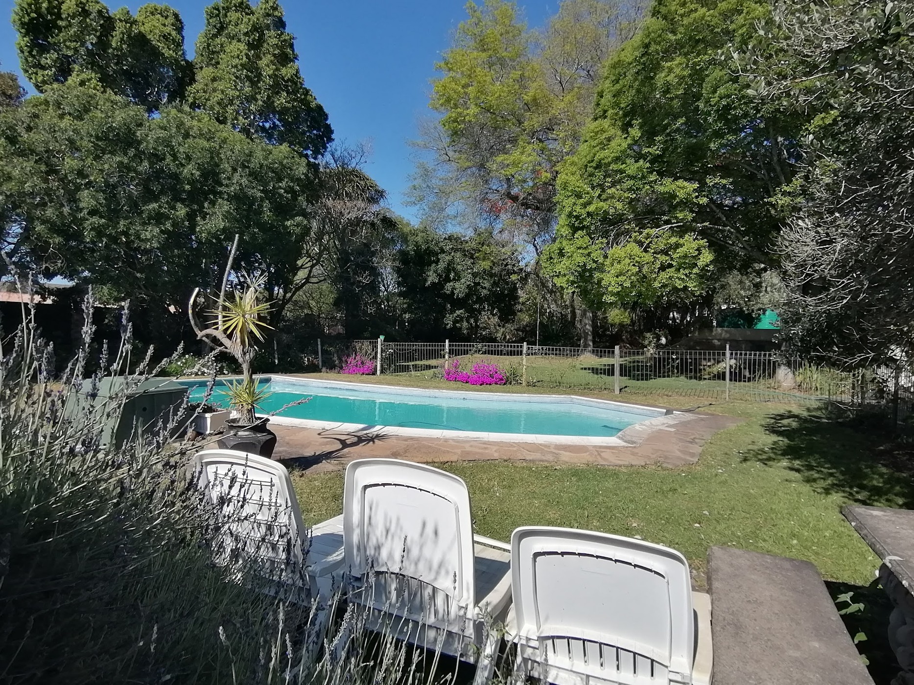 Pumba Msenge Bush Lodge — photo 3