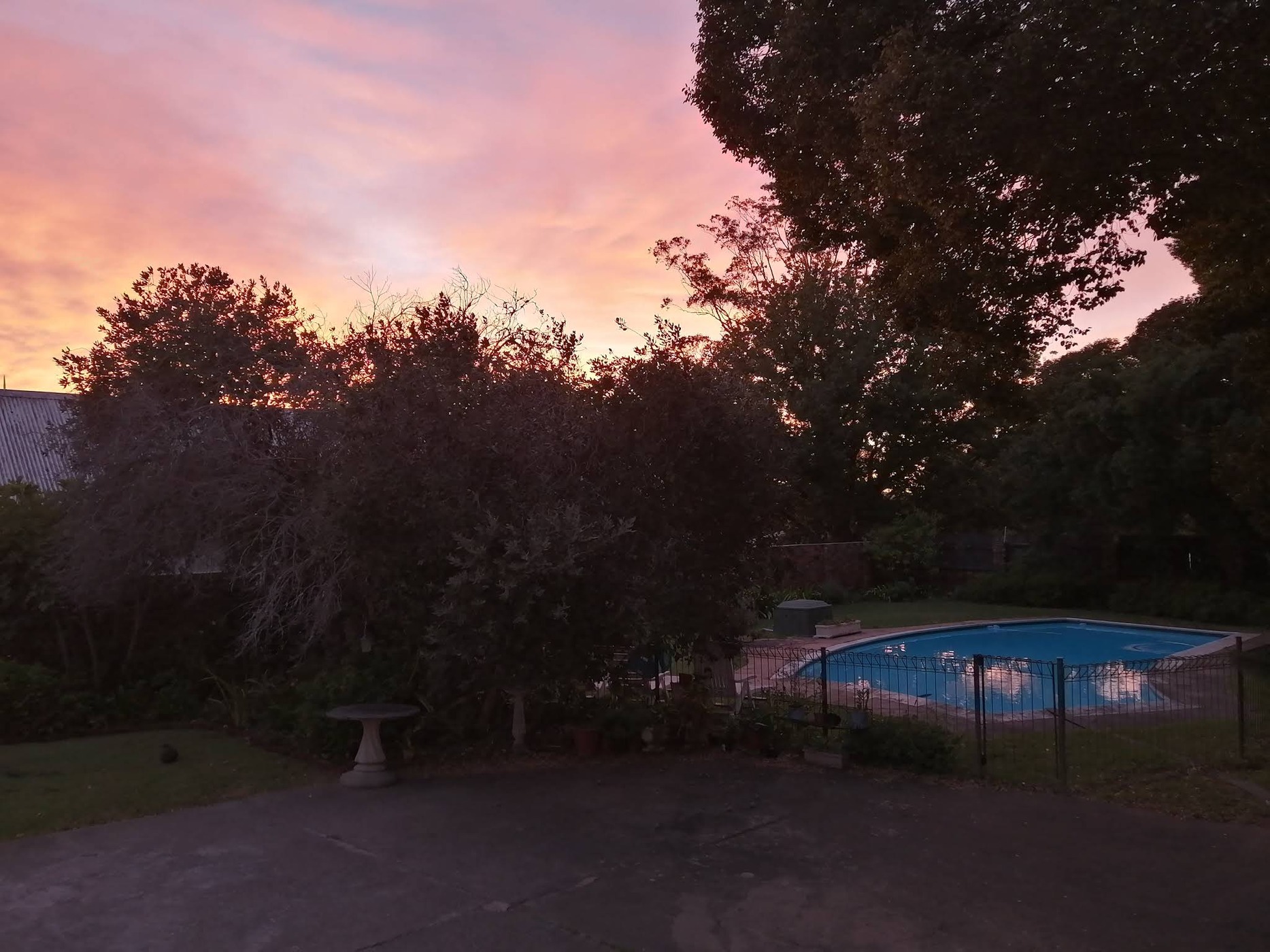 Pumba Msenge Bush Lodge — photo 5