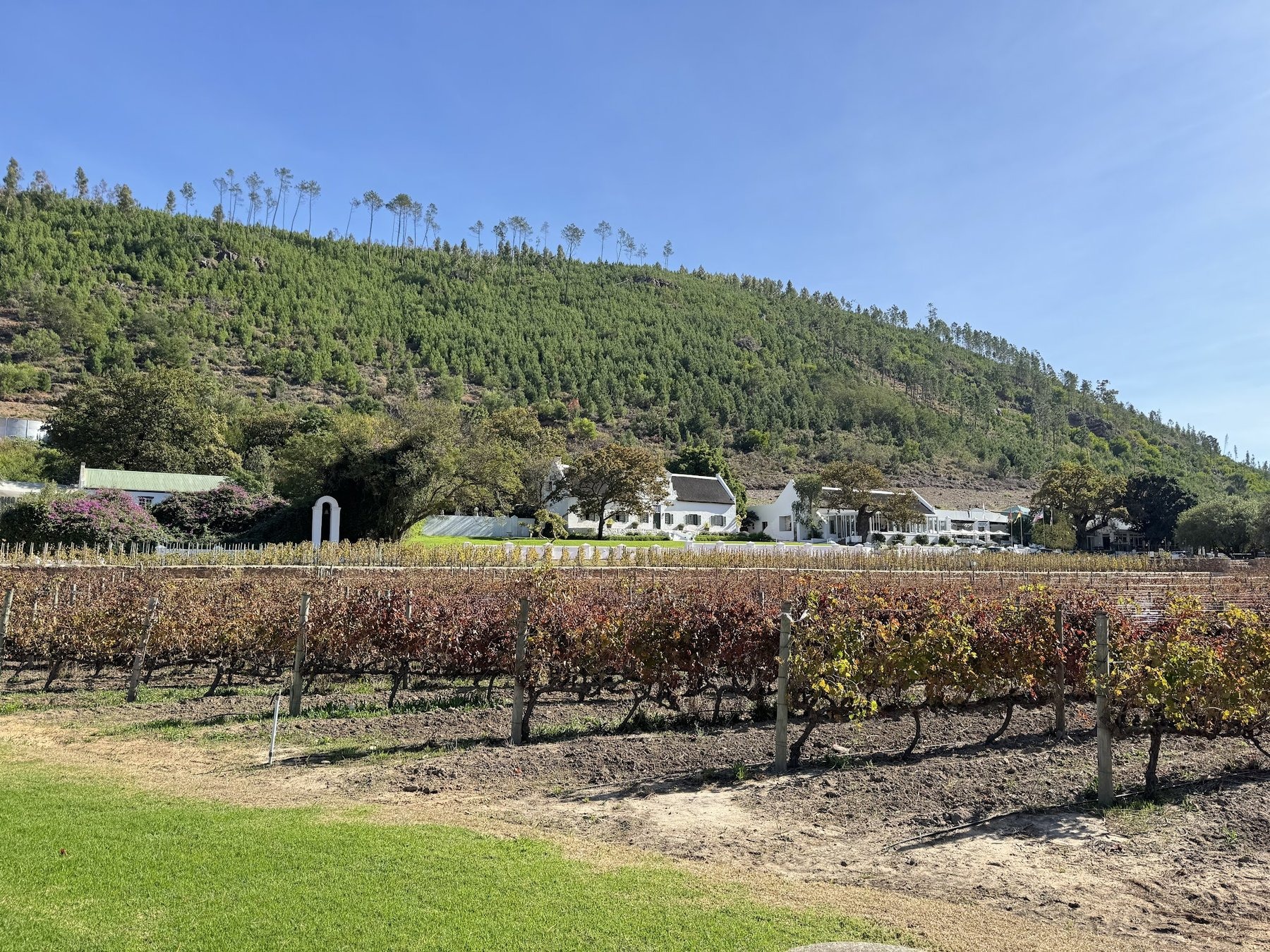 Rickety Bridge Manor House — photo 2