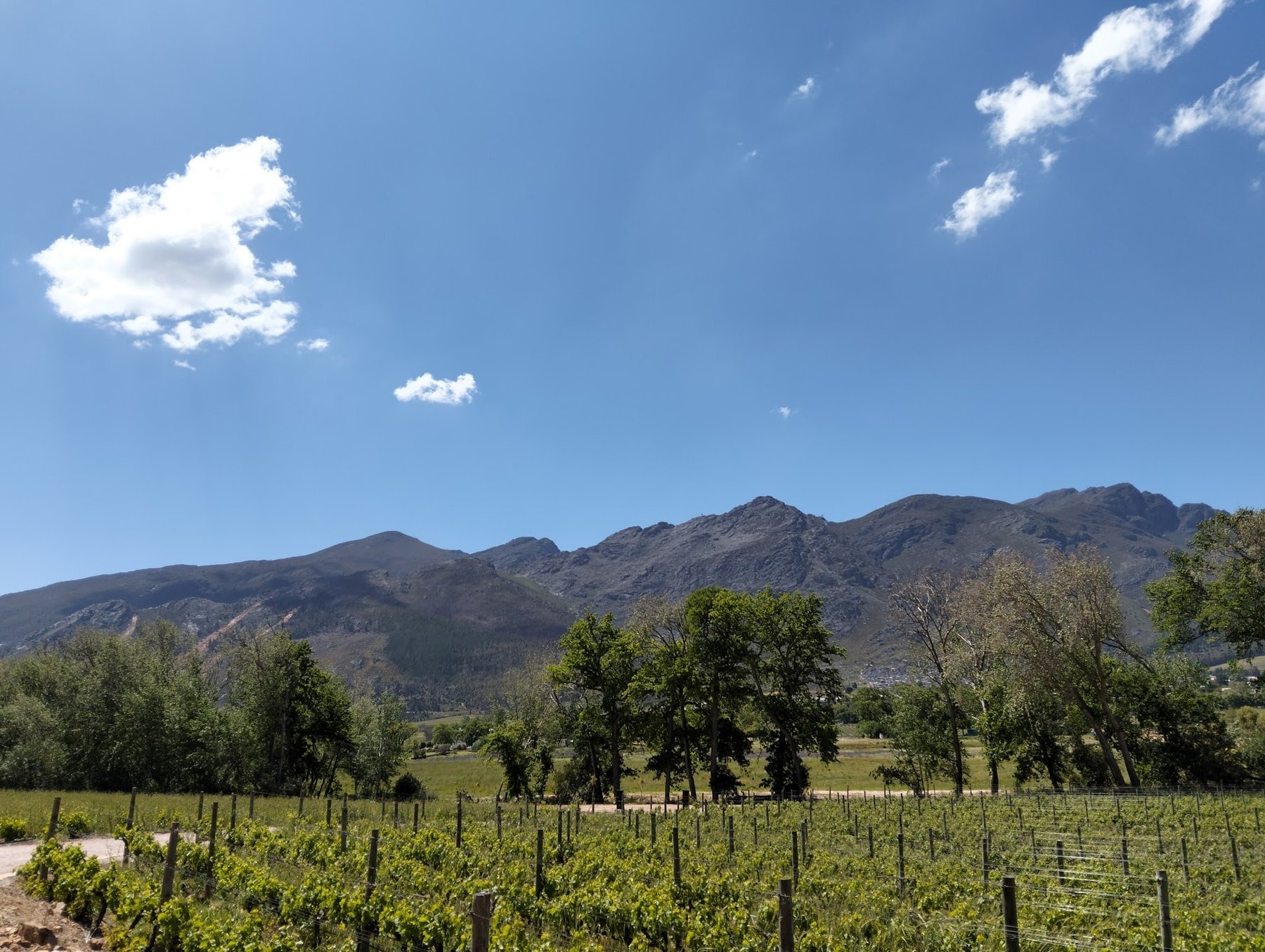 Rickety Bridge Manor House — photo 5