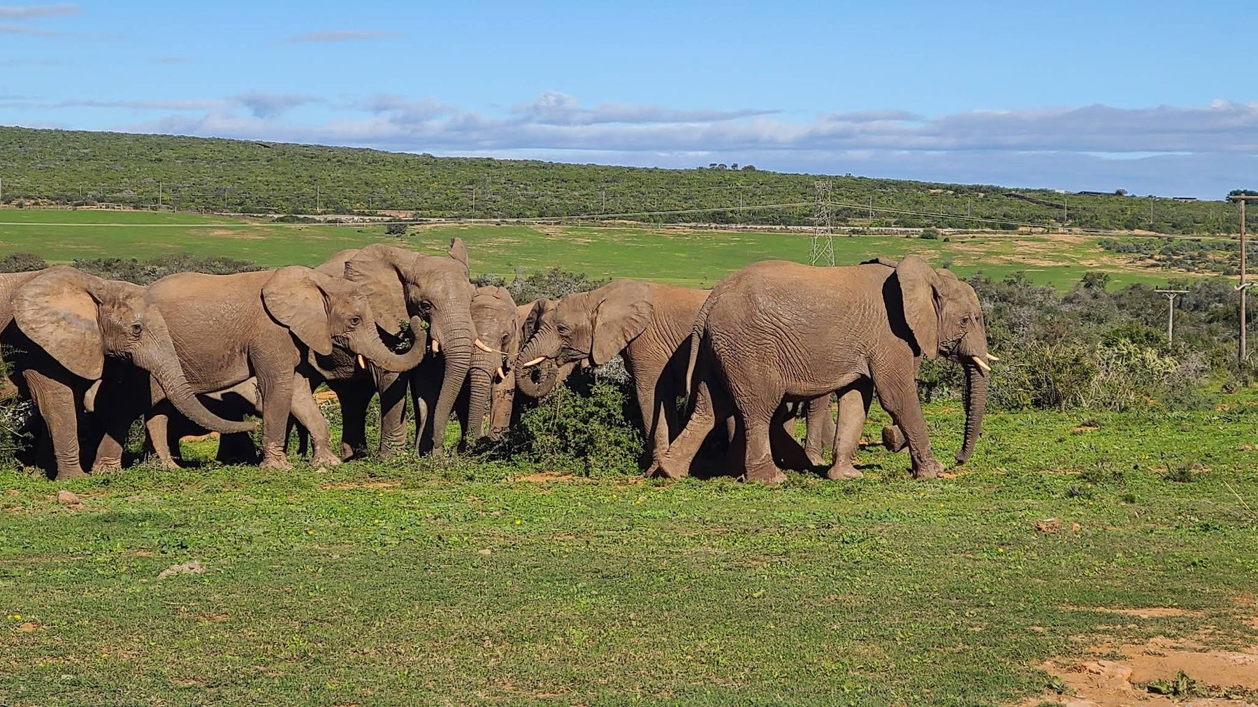 River Bend Lodge — photo 4