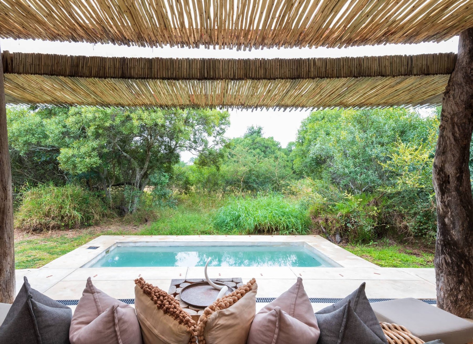 Sabi Sabi Bush Lodge — photo 4
