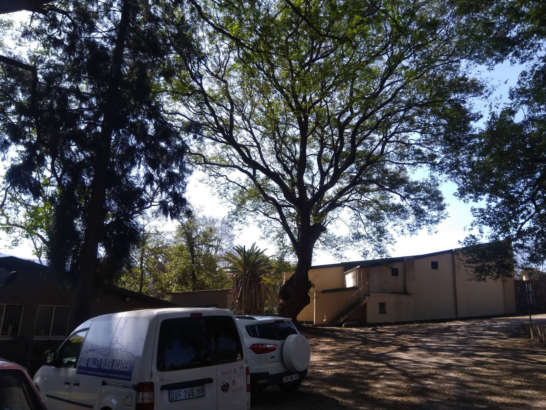 Sabie Country Lodge — photo 2