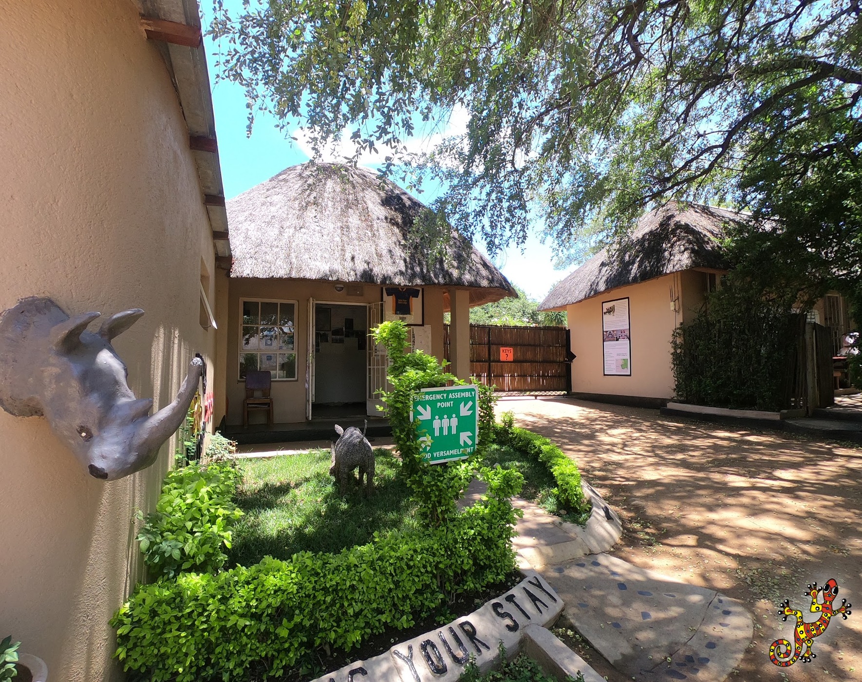 Sabie River Bush Lodge — photo 2