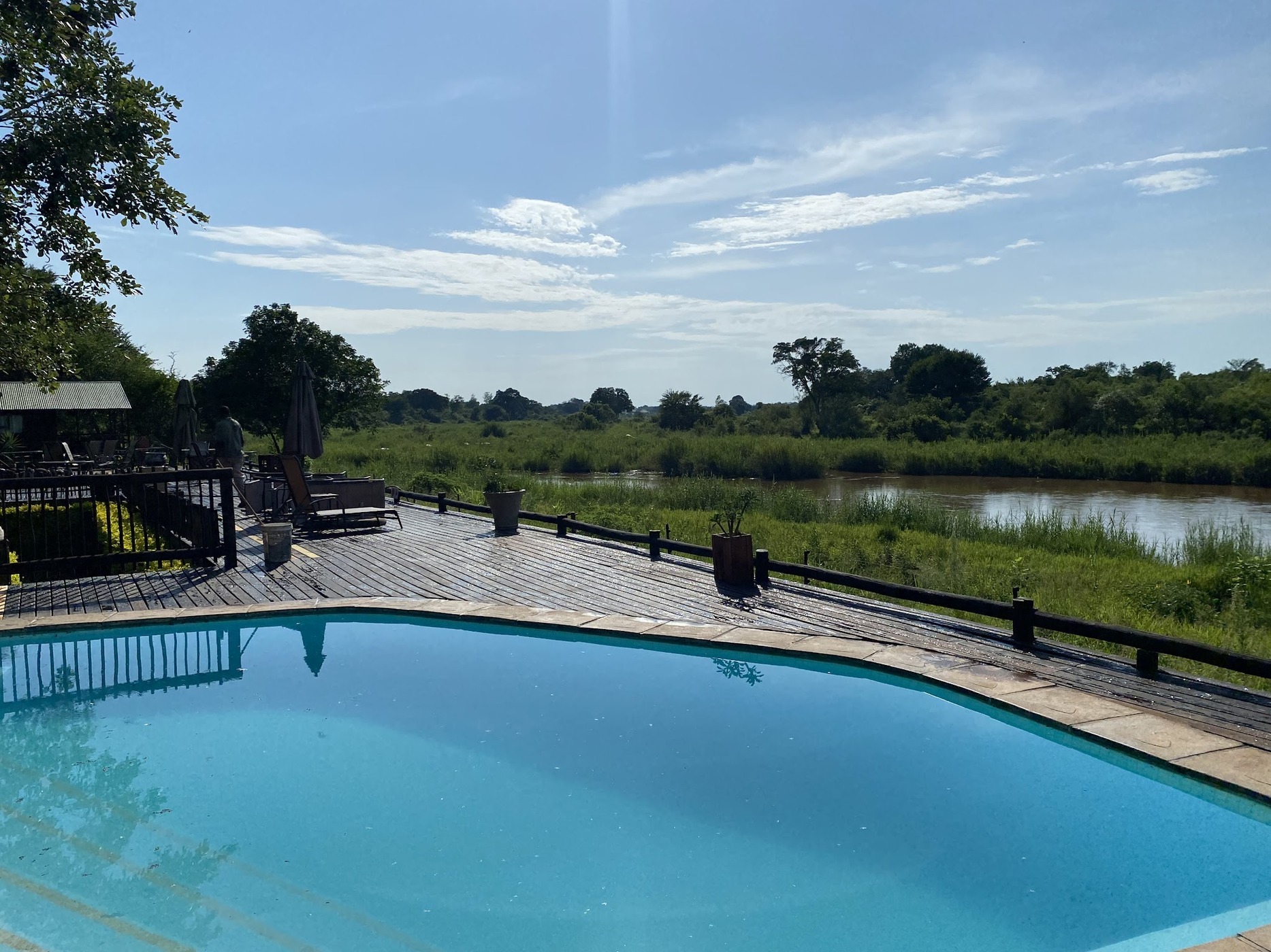 Sabie River Bush Lodge — photo 3