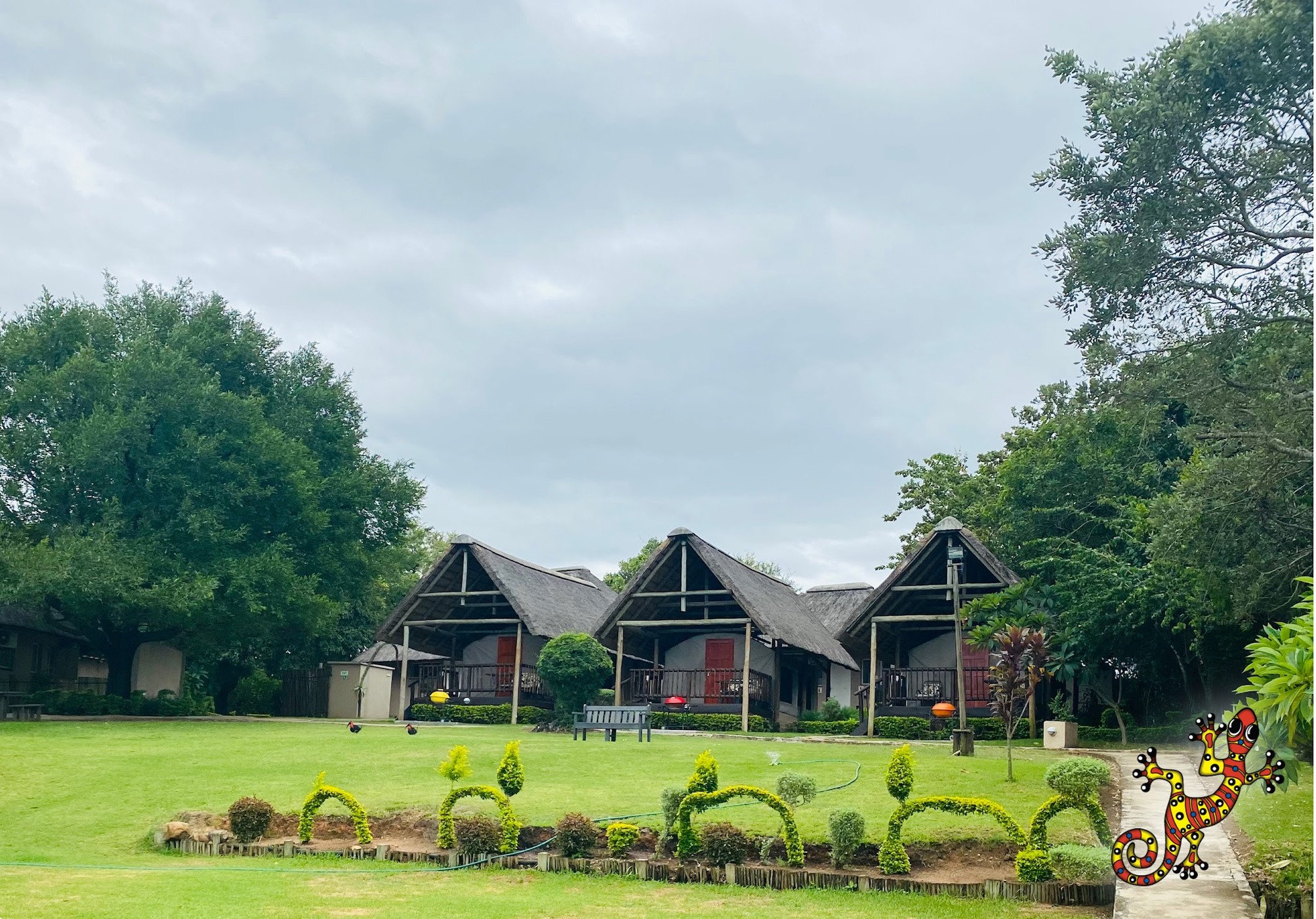 Sabie River Bush Lodge — photo 4
