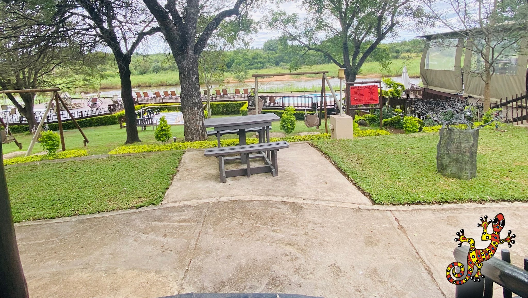 Sabie River Bush Lodge — photo 5