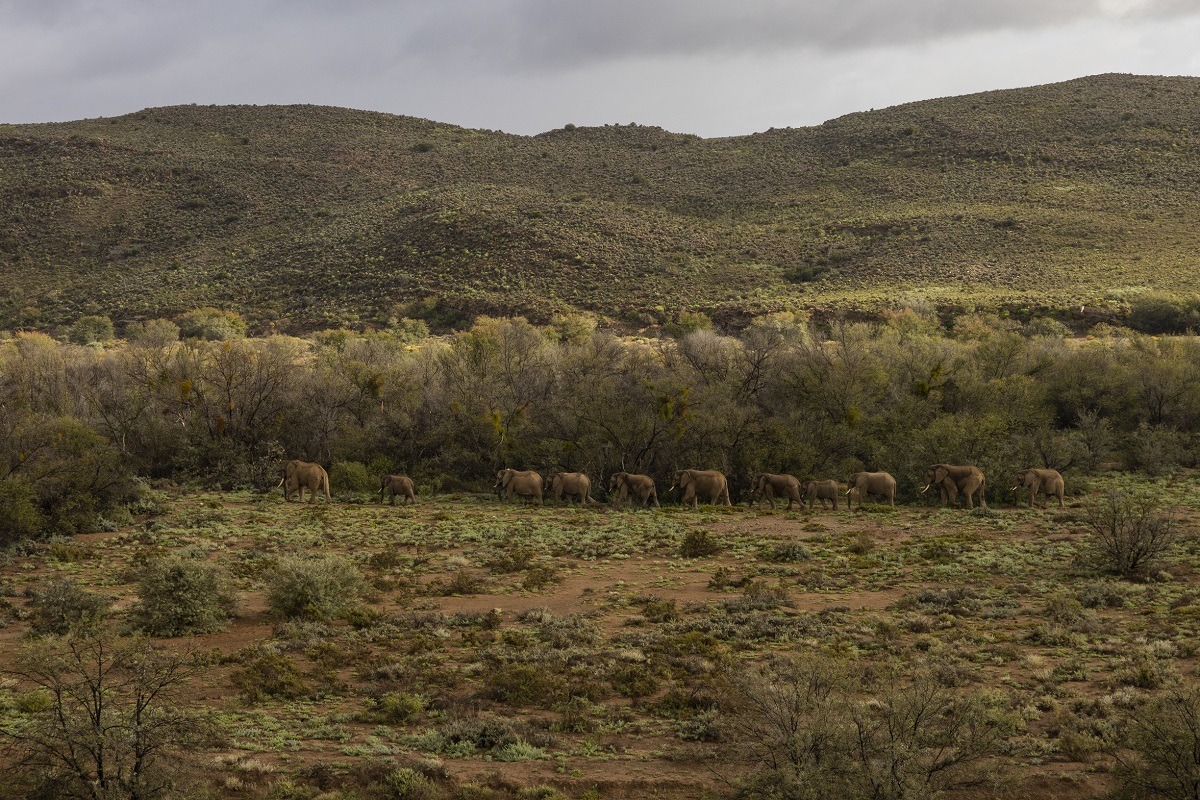 Sanbona Wildlife Reserve — photo 3
