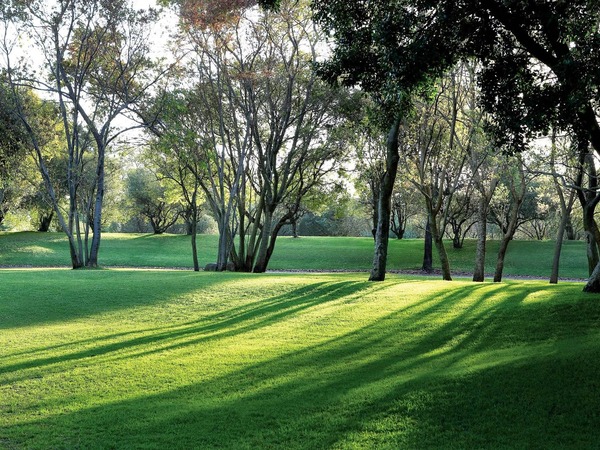 Saxon Hotel, Villas and Spa