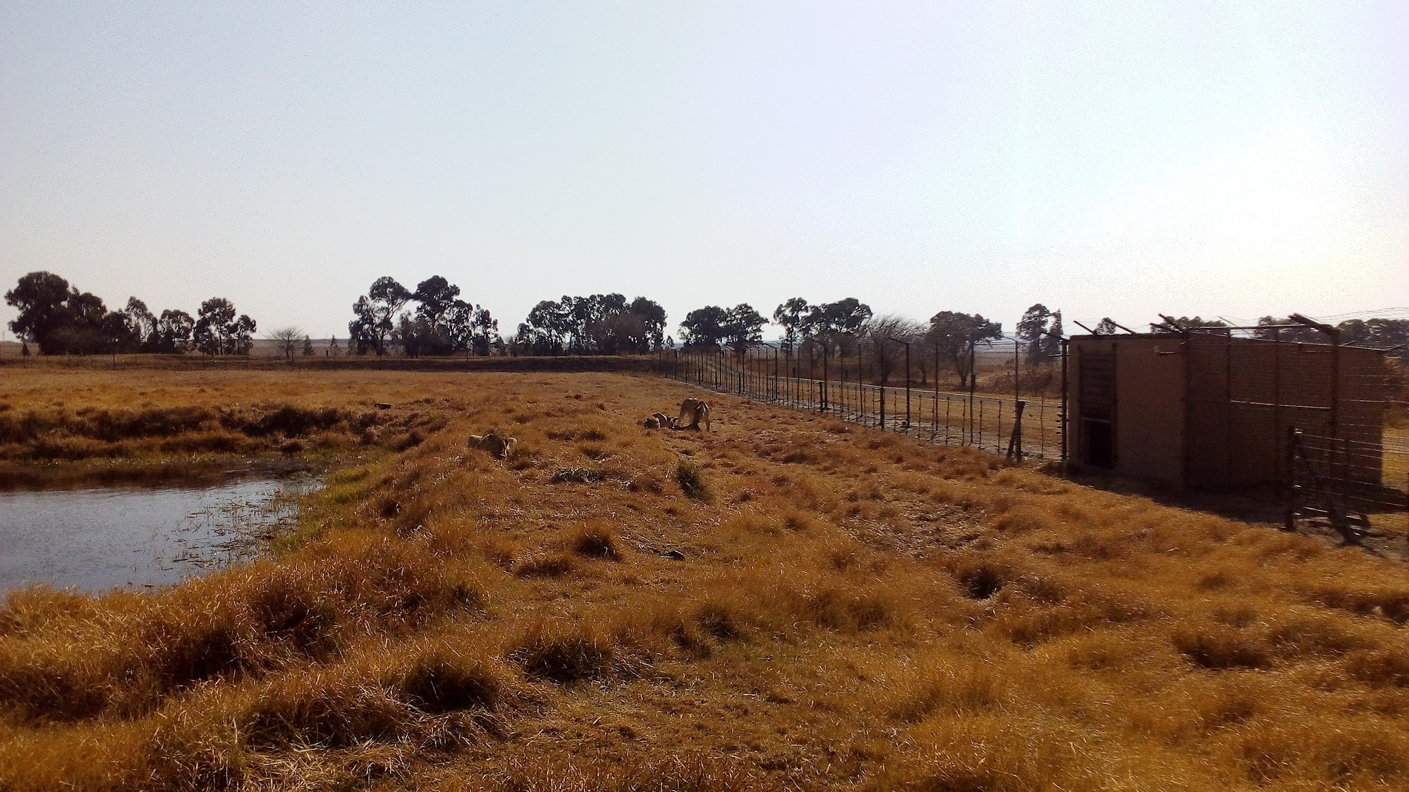 Siesta Guest House — photo 4