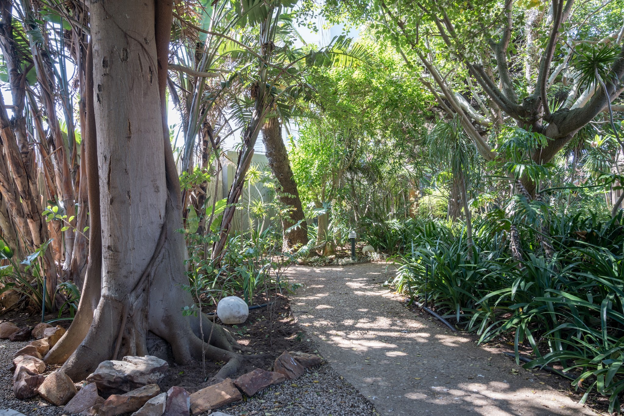 Singa Lodge — photo 2