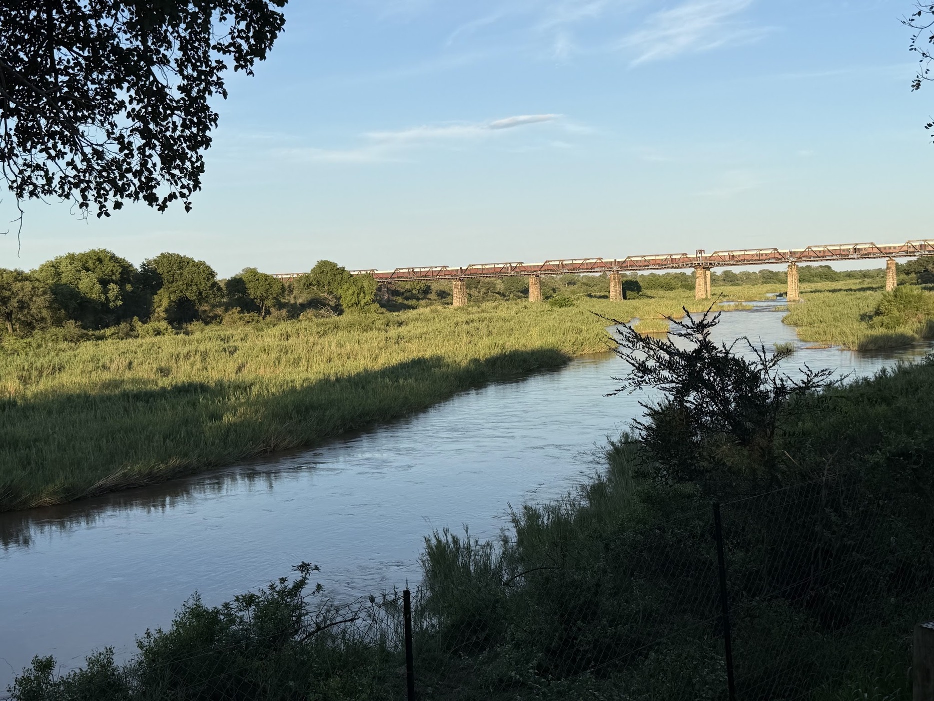 Skukuza Safari Lodge — photo 4