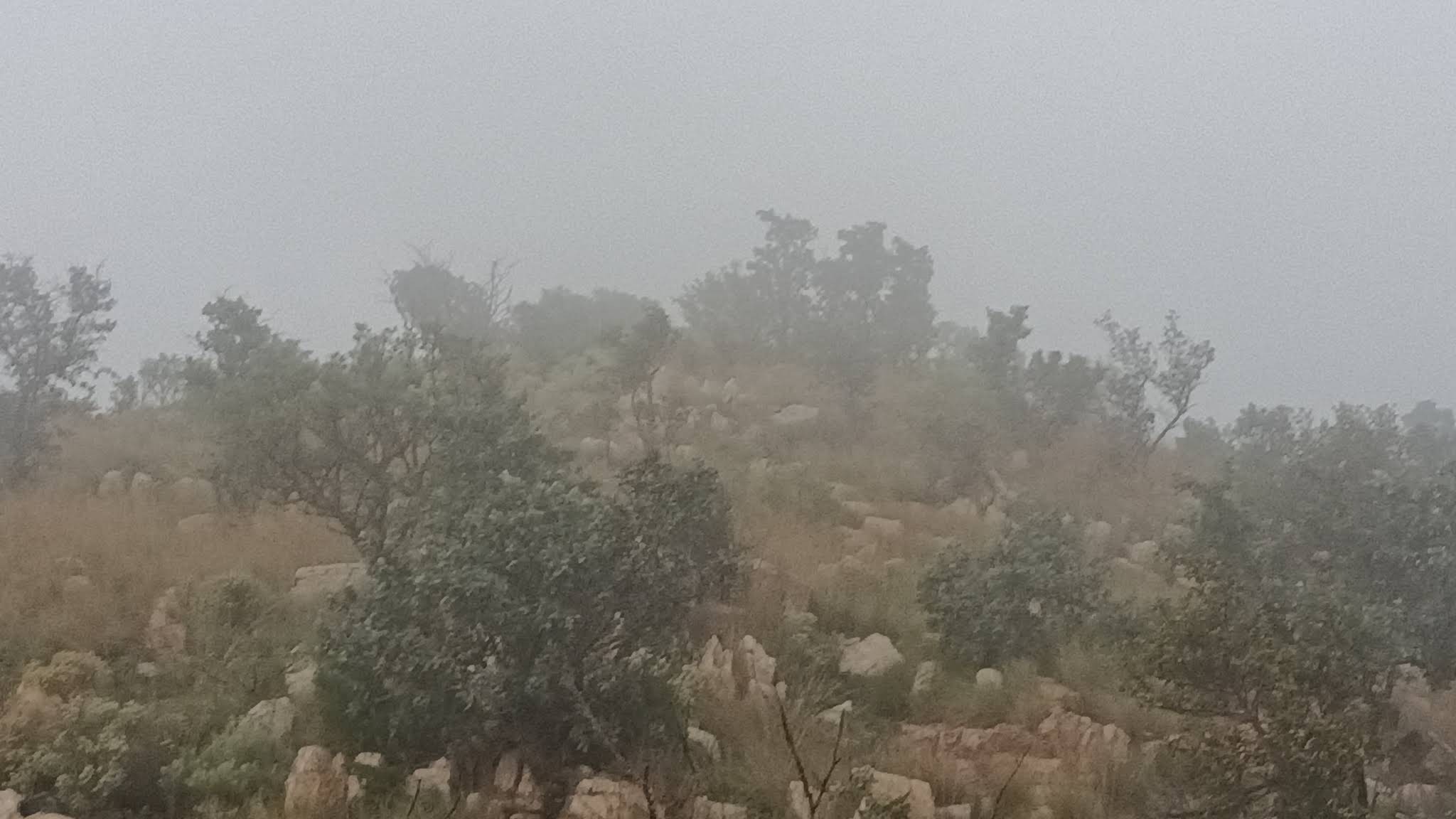 Smilin Thru Resort — photo 4