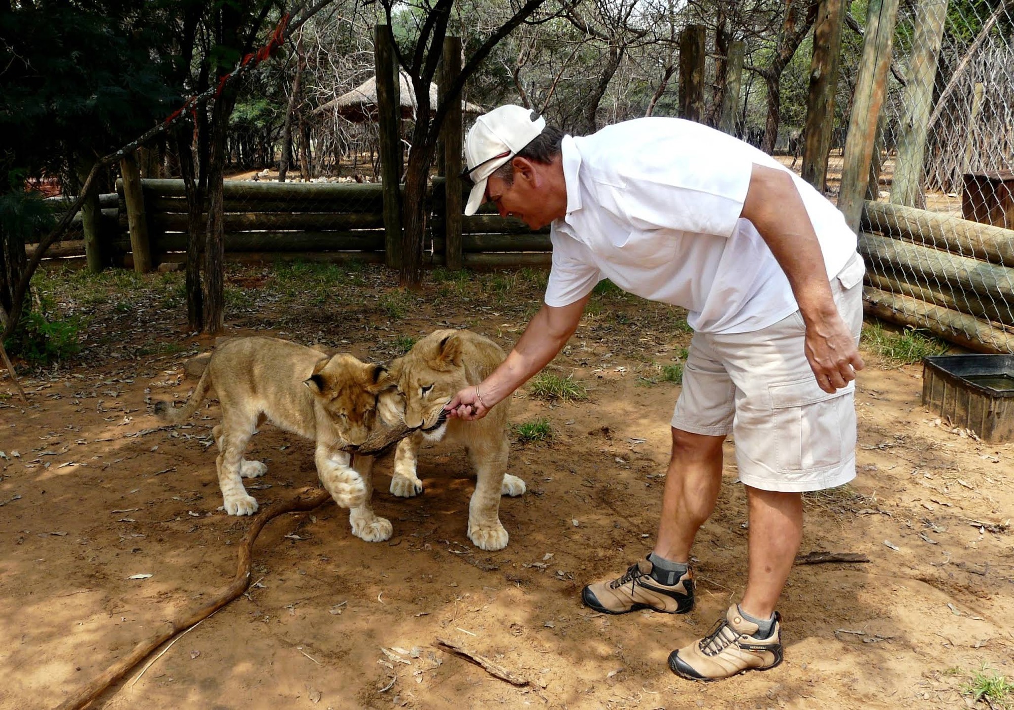 Sondela Nature Reserve & Conference — photo 3