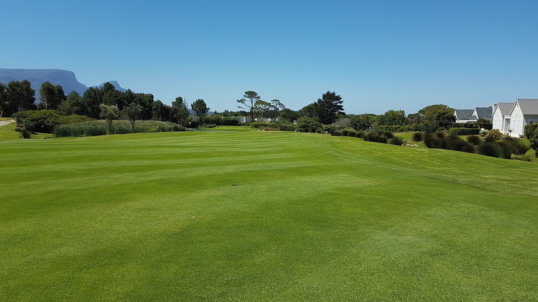 Steenberg Golf Club — photo 5