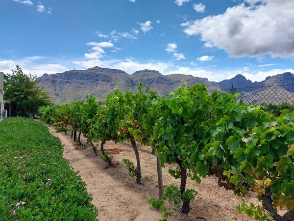 Stellenrust Wine Estate